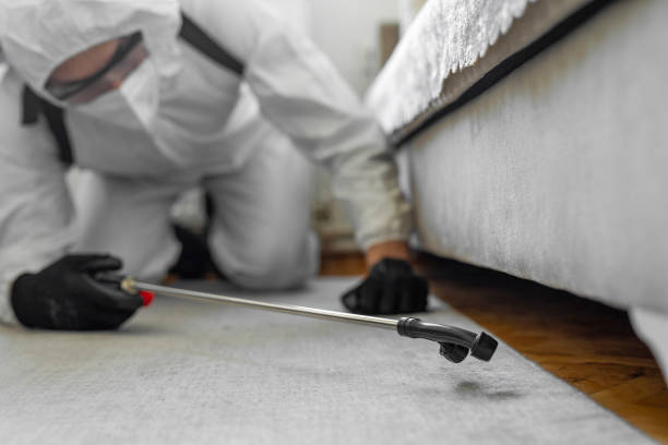 Professional Bed Bug Control technician working in Sea Bright, NJ