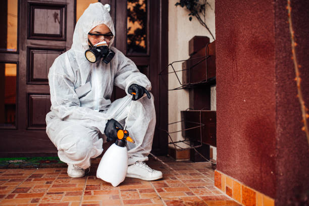 Reliable Bed Bug Control contractor in Sea Bright, NJ by Nex Pest Control