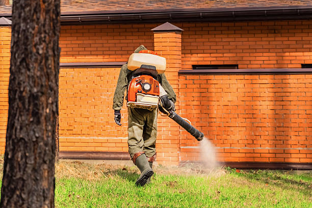 Trusted Cockroach Control service in Sea Bright, NJ - Nex Pest Control